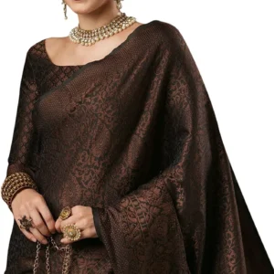 Elegant Banarasi Saree